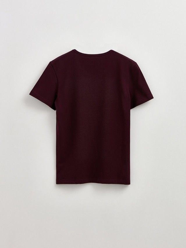 Фуфайка мужская DW BASIC MEN MF 2024 (пакет),р.170,176-100, dark bordo - 7