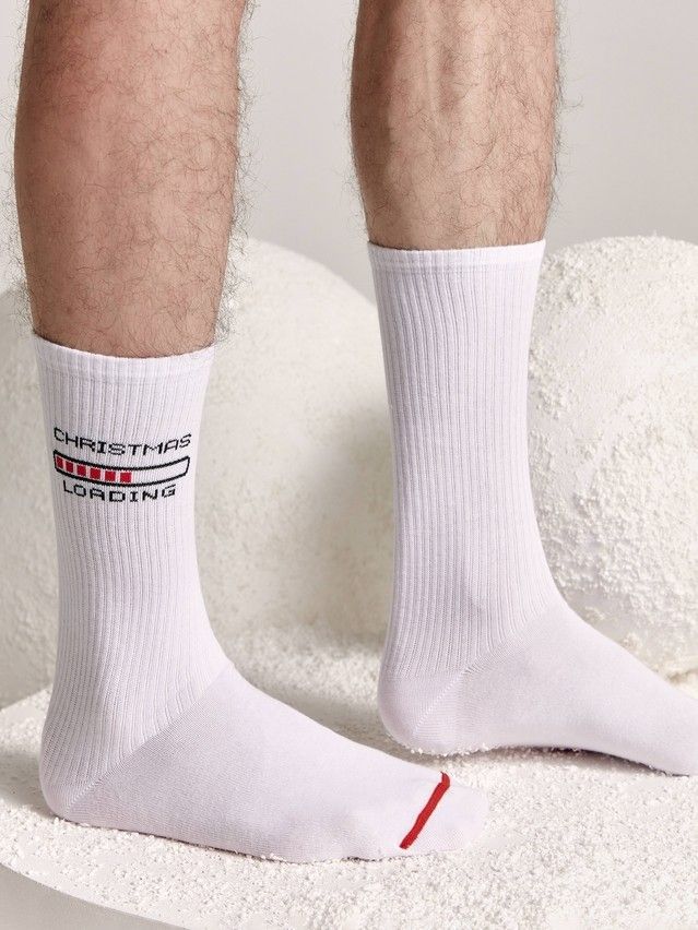 Носки мужские DW NEW YEAR 21С-35СП, р.42-45, 281 белый - 2