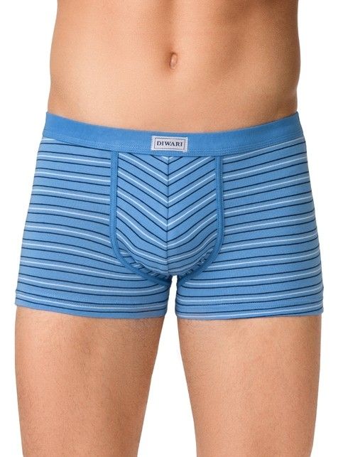 Cotton men's underpants BAND SHORTS 358 (packed on mini-hanger)