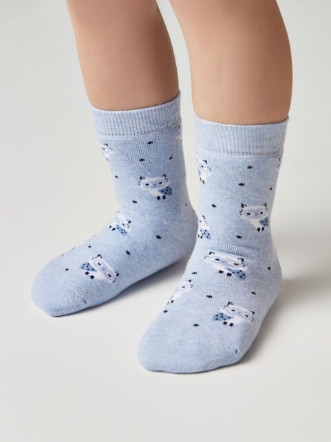 Махровые голубые носки SOF-TIKI с рисунком «котята» - купить в интернет-магазине Conte
