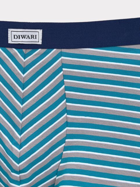 Трусы-шорты из хлопком в полоску BASIC MSH 2956 - купить в интернет-магазине Conte