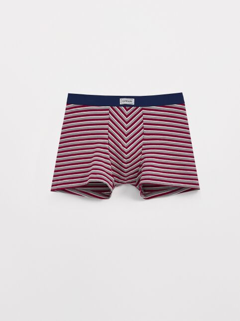 Трусы-шорты из хлопком в полоску BASIC MSH 2956 - купить в интернет-магазине Conte