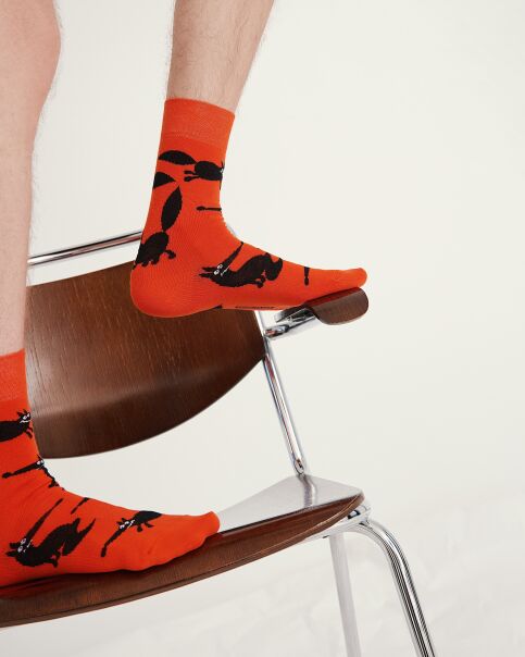 Хлопковые носки с рисунком «Fox», модель 166 - купить в интернет-магазине Conte