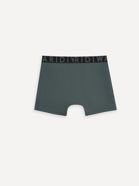 Хлопковые трусы-шорты PREMIUM MSH 3300 (бандероль) - купить в интернет-магазине Conte